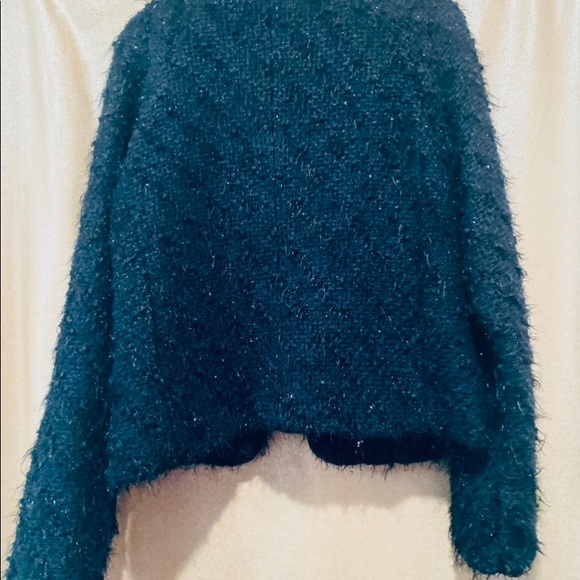 Sanctuary Dressy Jacket size L - Picture 4 of 15